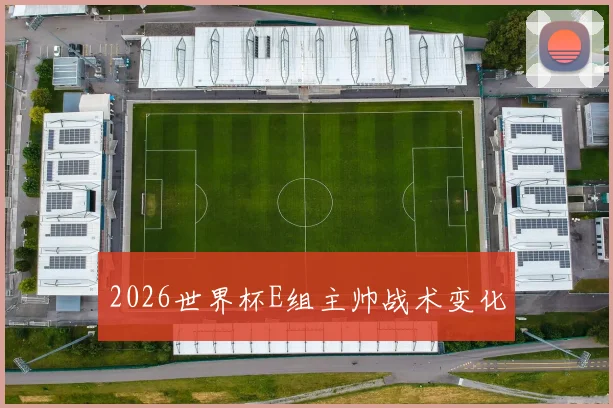 2026世界杯E组主帅战术变化