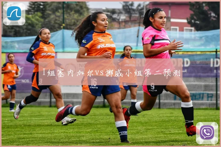 I组塞内加尔vs挪威小组第二预测