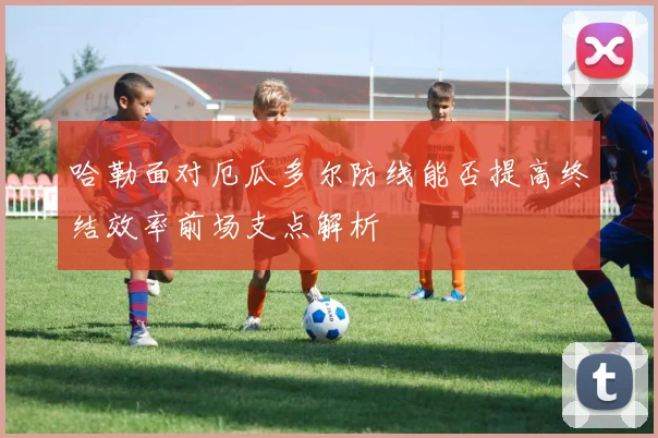 哈勒面对厄瓜多尔防线能否提高终结效率前场支点解析