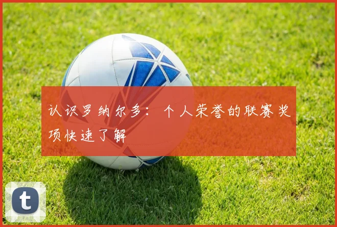 认识罗纳尔多：个人荣誉的联赛奖项快速了解